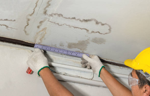 Reliable Burst Pipe Cleanup contractor in Blythe, GA by Water Damage Irwin